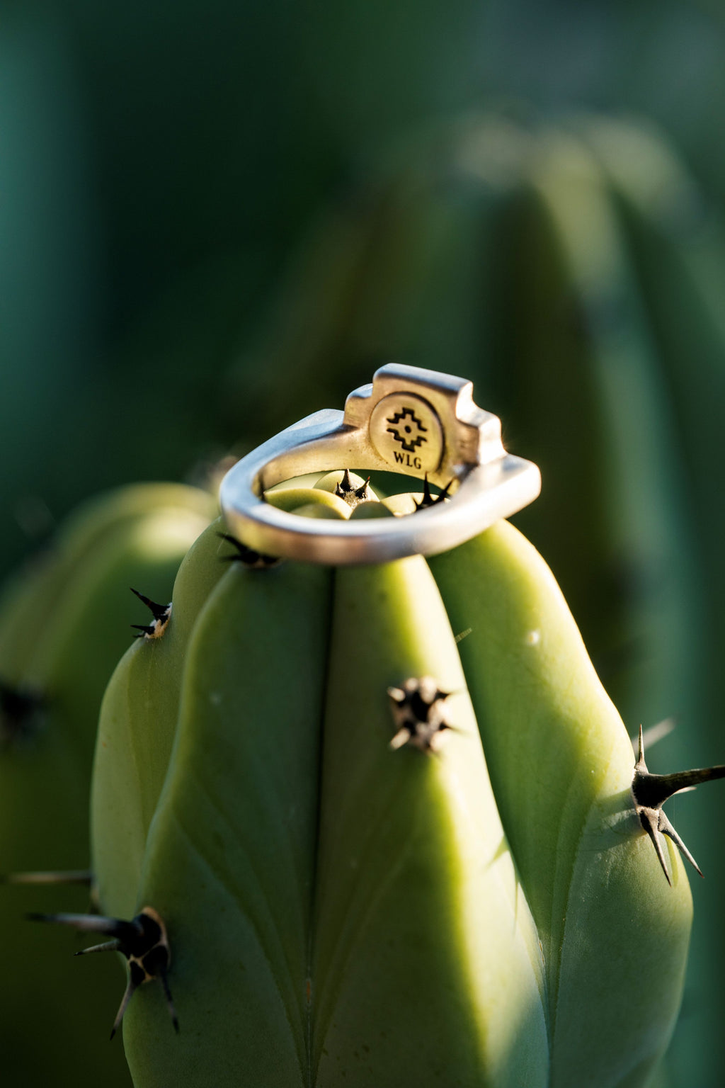 Mesa Ring