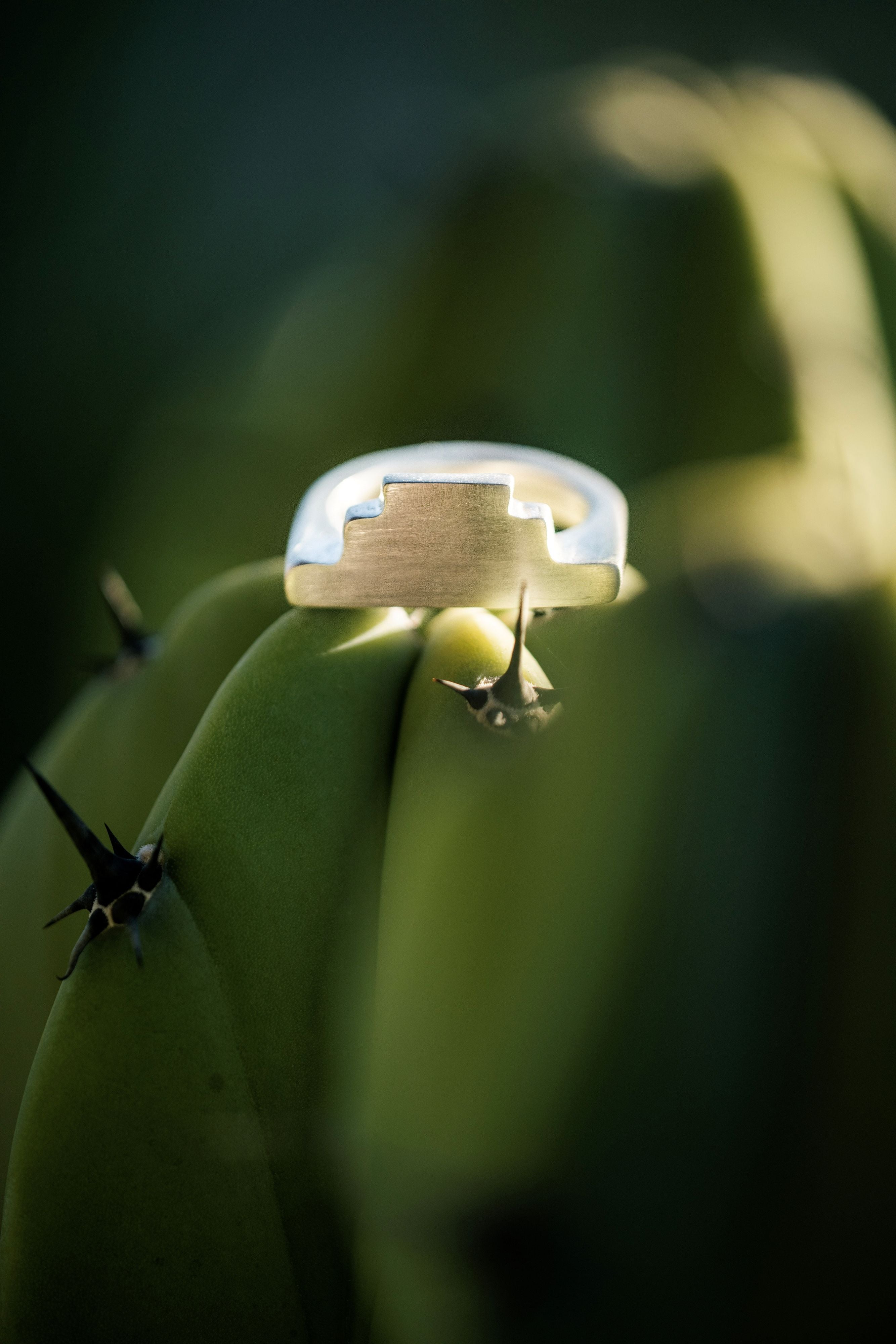 Mesa Ring